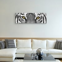 Umjetnička galerija remek -djela Tiger Eyes by Photoinc Studio Canvas Art Print 12 36