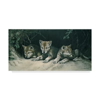 Zaštitni znak likovna umjetnost 'Tri Little Wolves' platna Art by Ron Parker