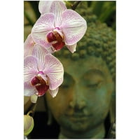 Zaštitni znak Art Orhideje i Buddha Canvas Art by Kurt Shaffer, 18x24