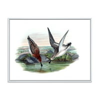 DesignArt 'Vintage Countryside Dvije ptice u jezeru' Farmhouse uokvirena platna zidna umjetnička tiska