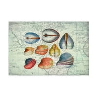 Cora Niele 'školjke za morsku školu na mapi II' platno umjetnost