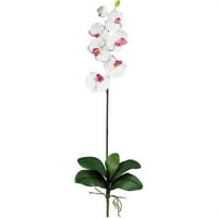 Gotovo prirodna stabljika phalaenopsis, bijela, 12kom